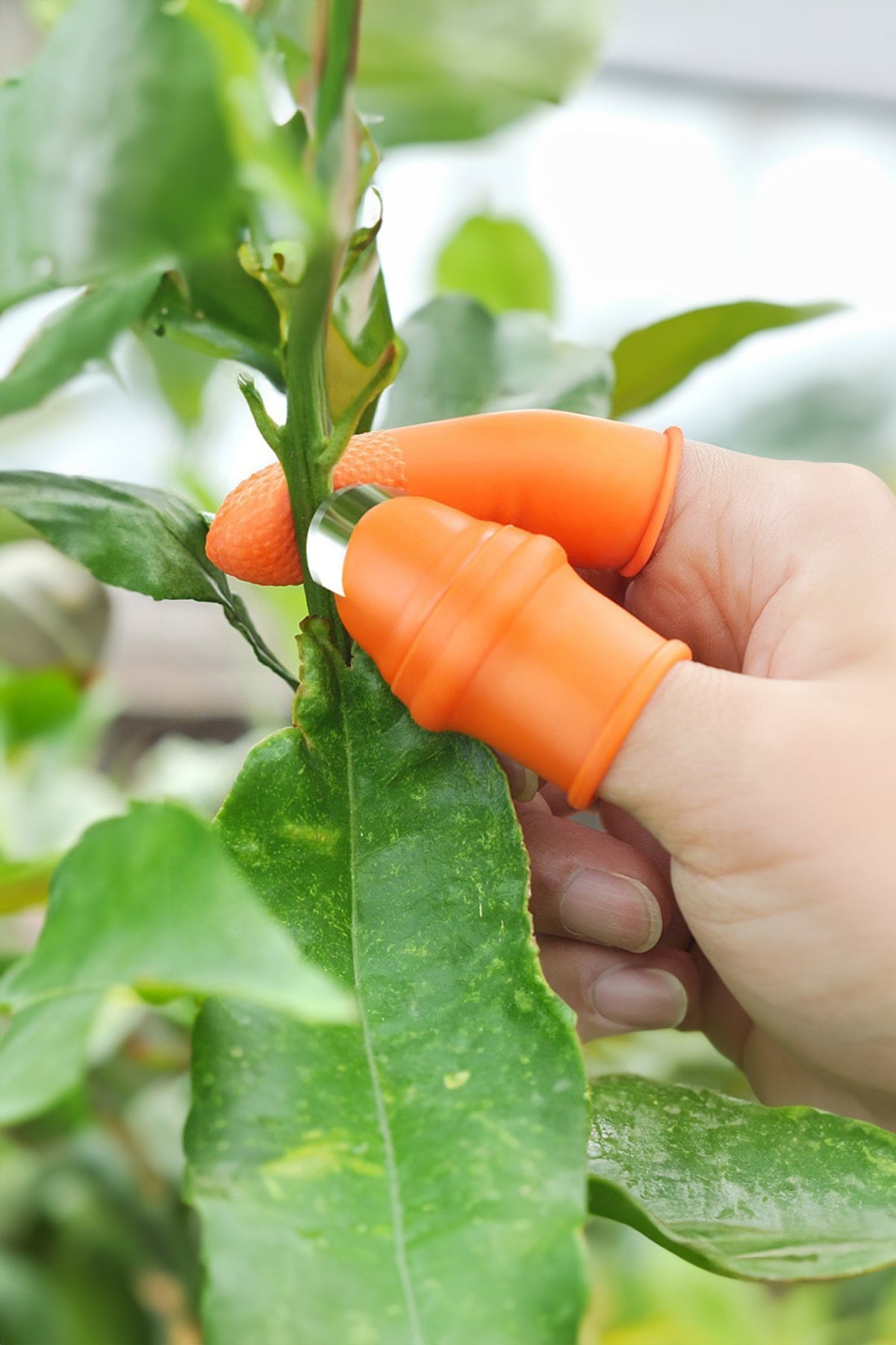 🥬SİLİKON PARMAK AYIKLAMA SETİ - dibidip
