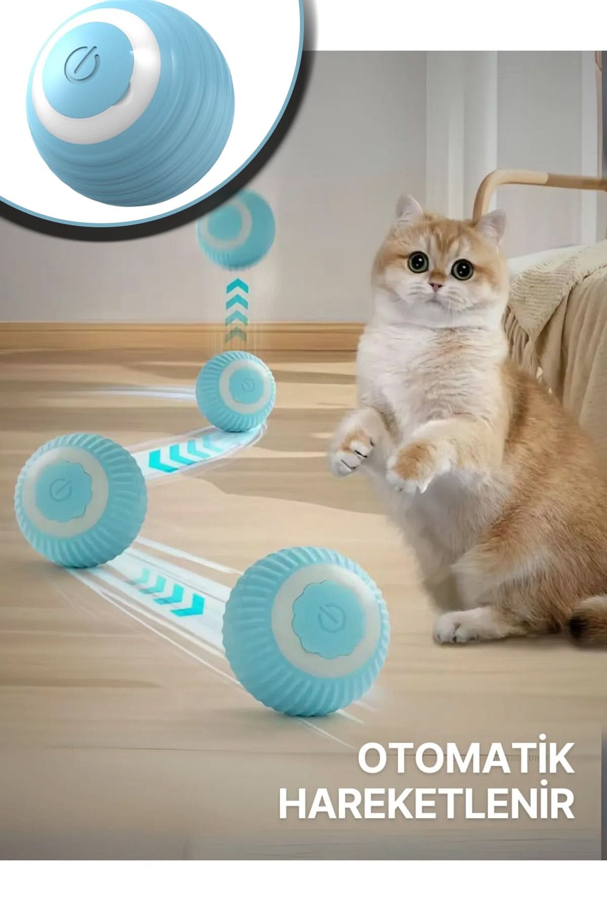 🐱HAREKETLİ KEDİ OYUN TOPU - dibidip