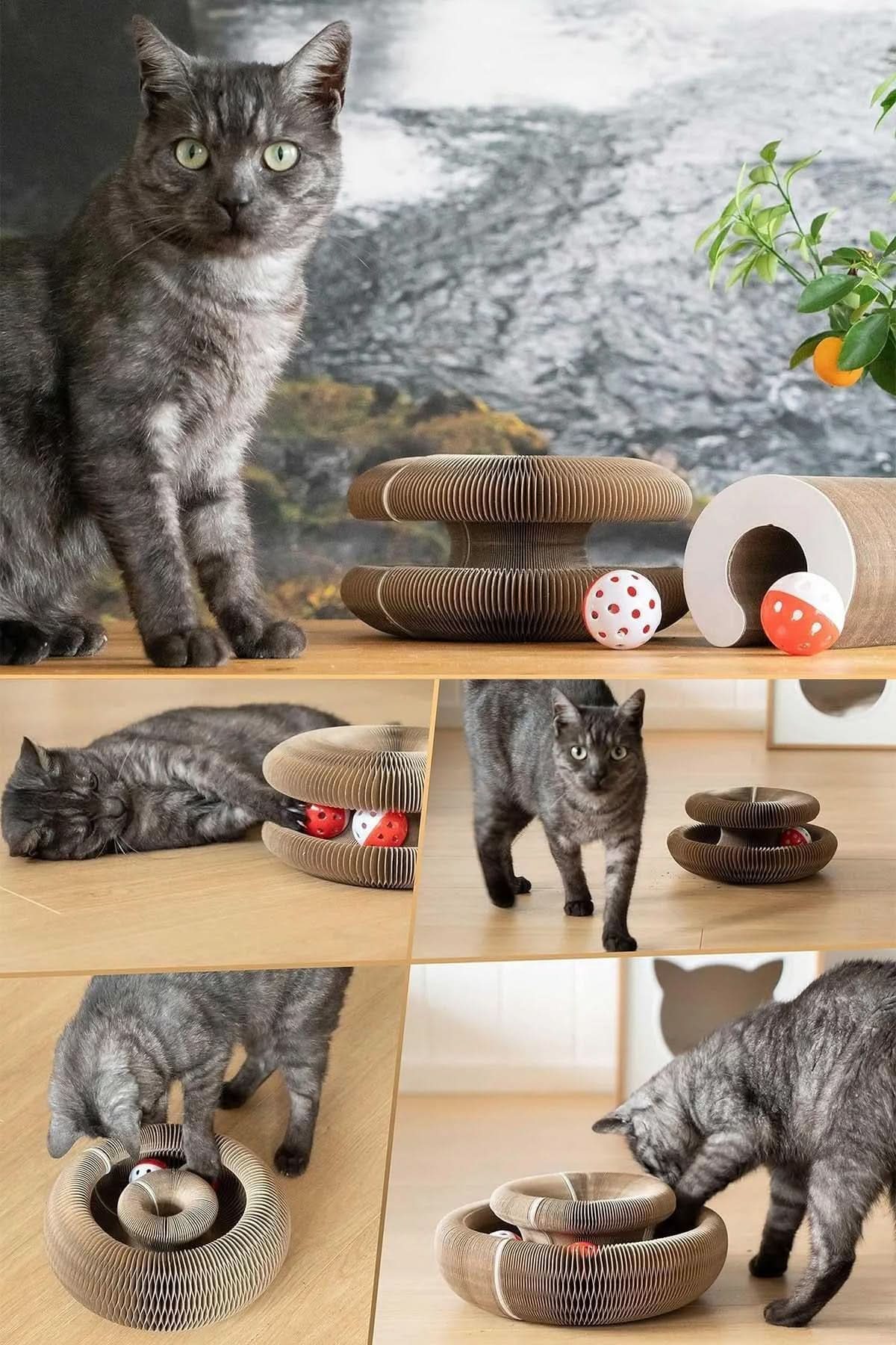 🐾KEDİ TIRMIK OYUNCAK - dibidip