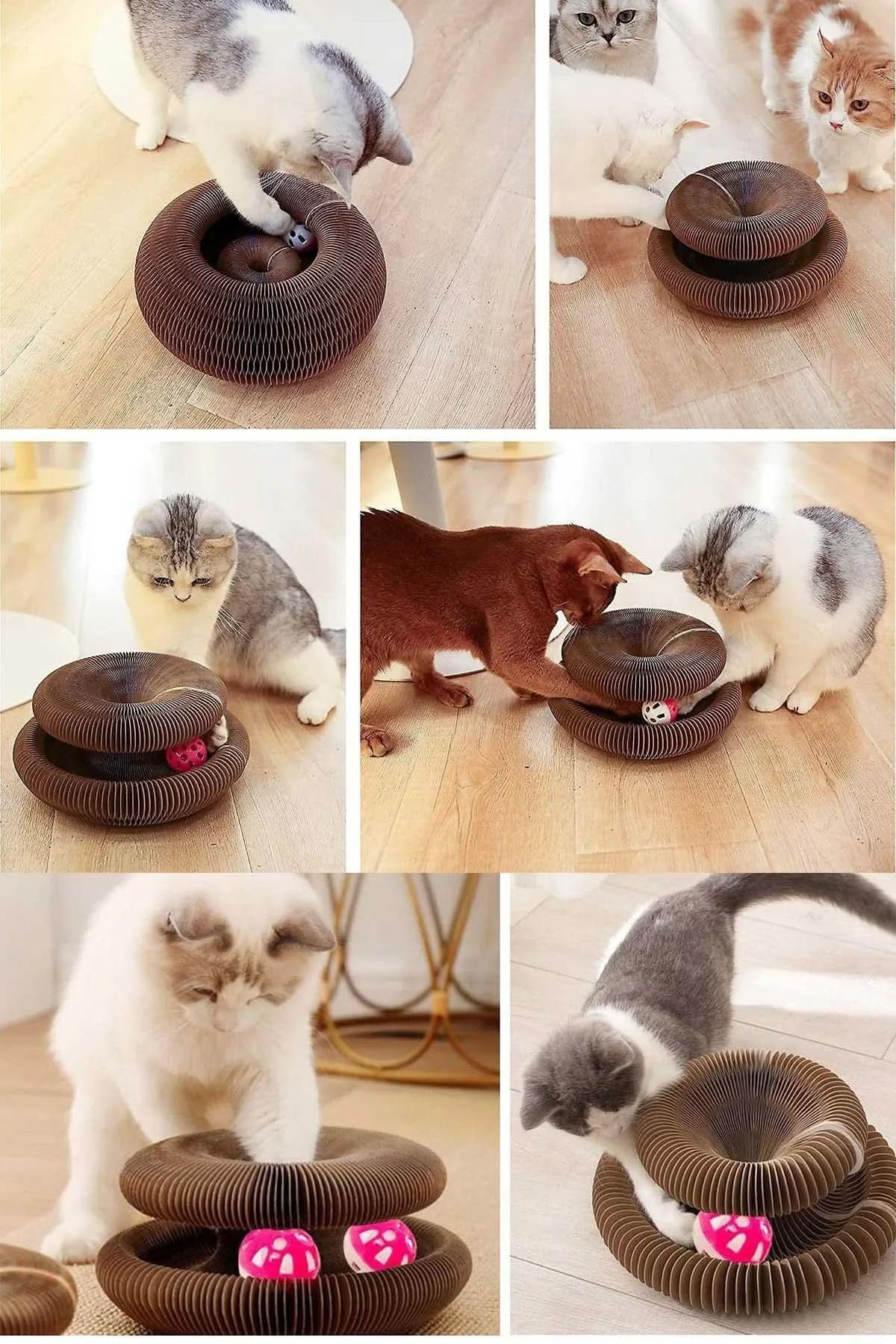 🐾KEDİ TIRMIK OYUNCAK - dibidip