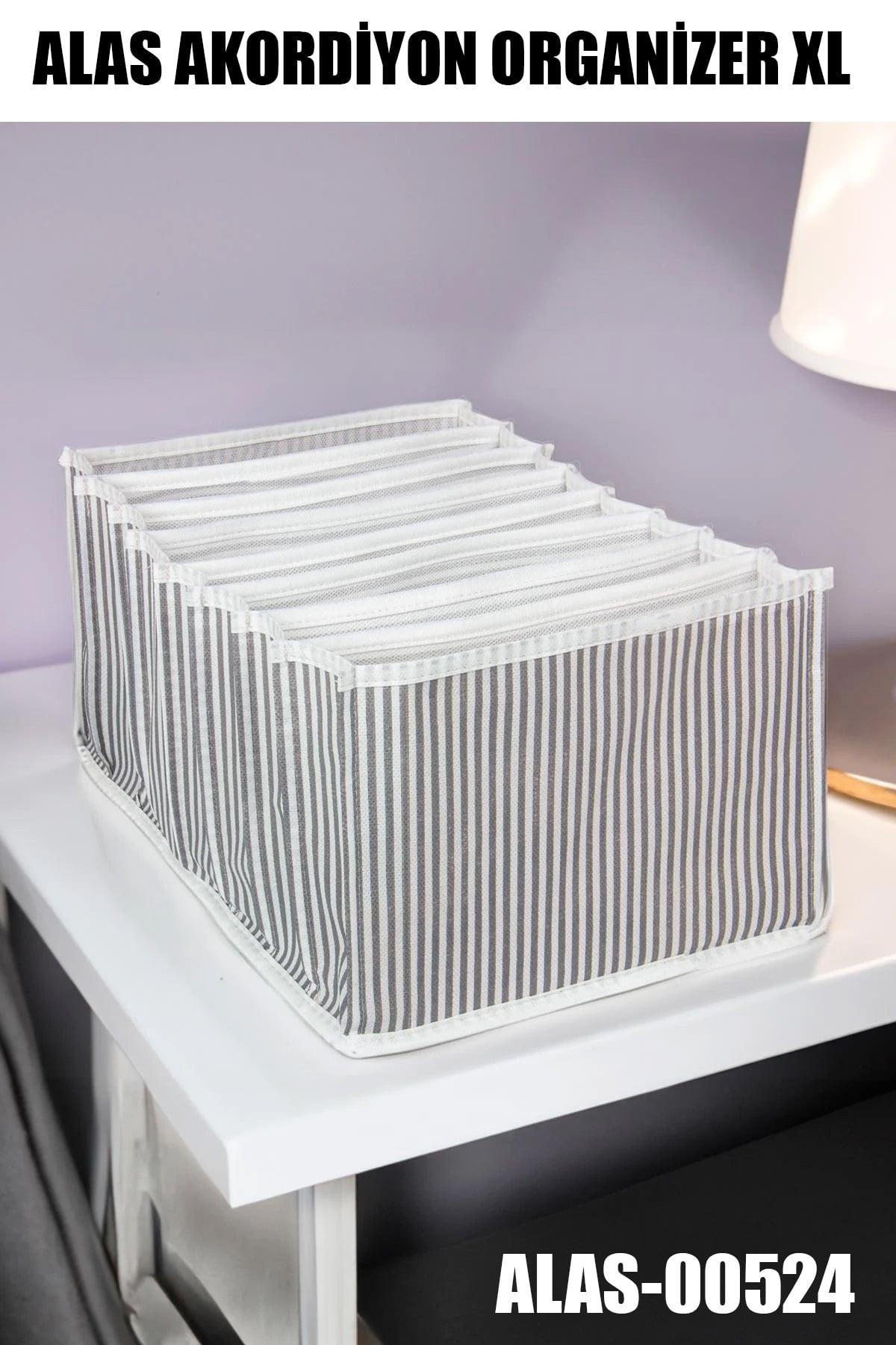 ALAS-00524 AKORDİYON ORGANİZER XL - dibidip 