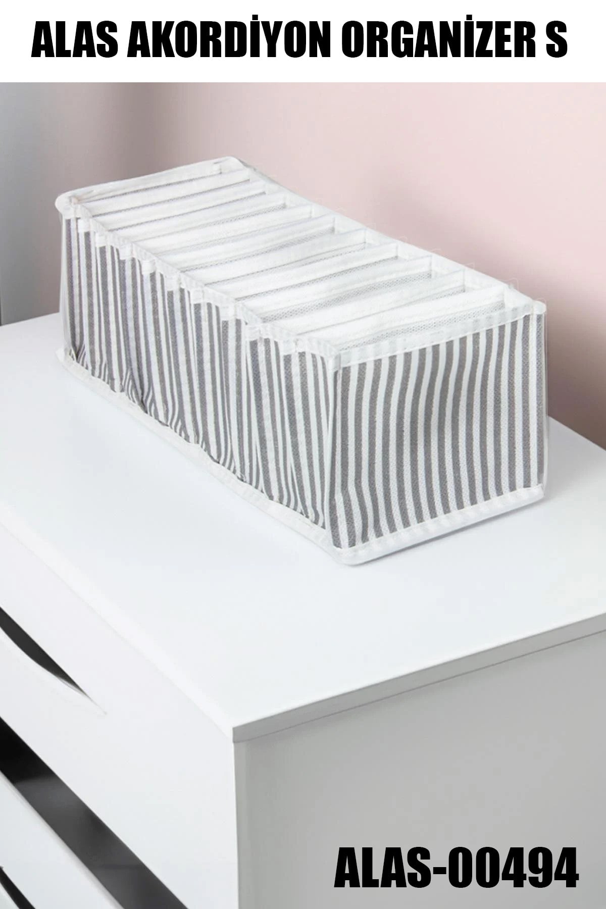 ALAS-00494 AKORDİYON ORGANİZER S - dibidip 