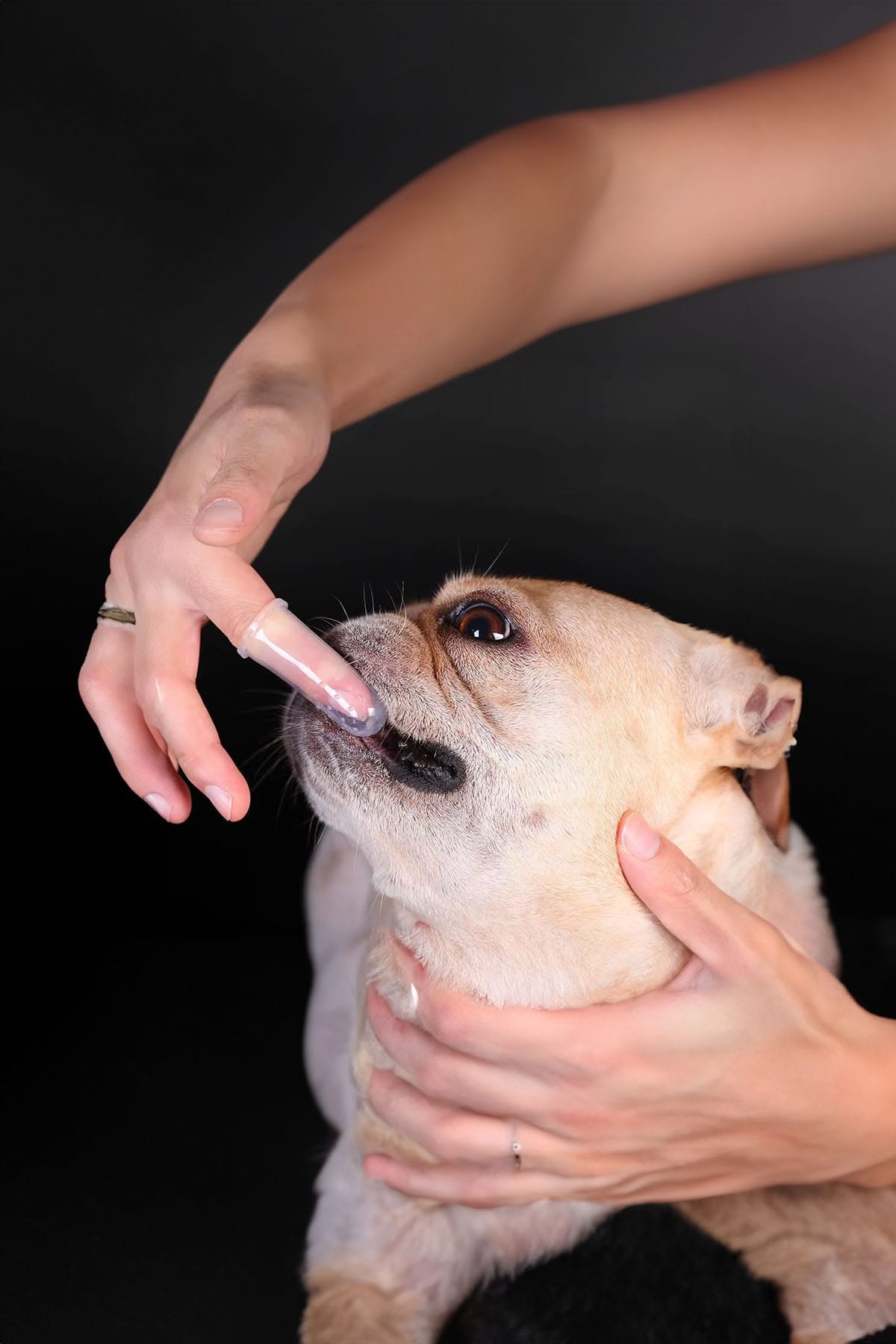 🐶EVCİL HAYVAN DİŞ KAŞIMA FIRÇASI - dibidip 