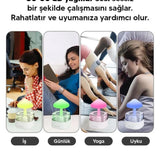 🍄MANTAR HAVA NEMLENDİRİCİ - dibidip 