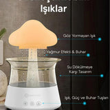 🍄MANTAR HAVA NEMLENDİRİCİ - dibidip 