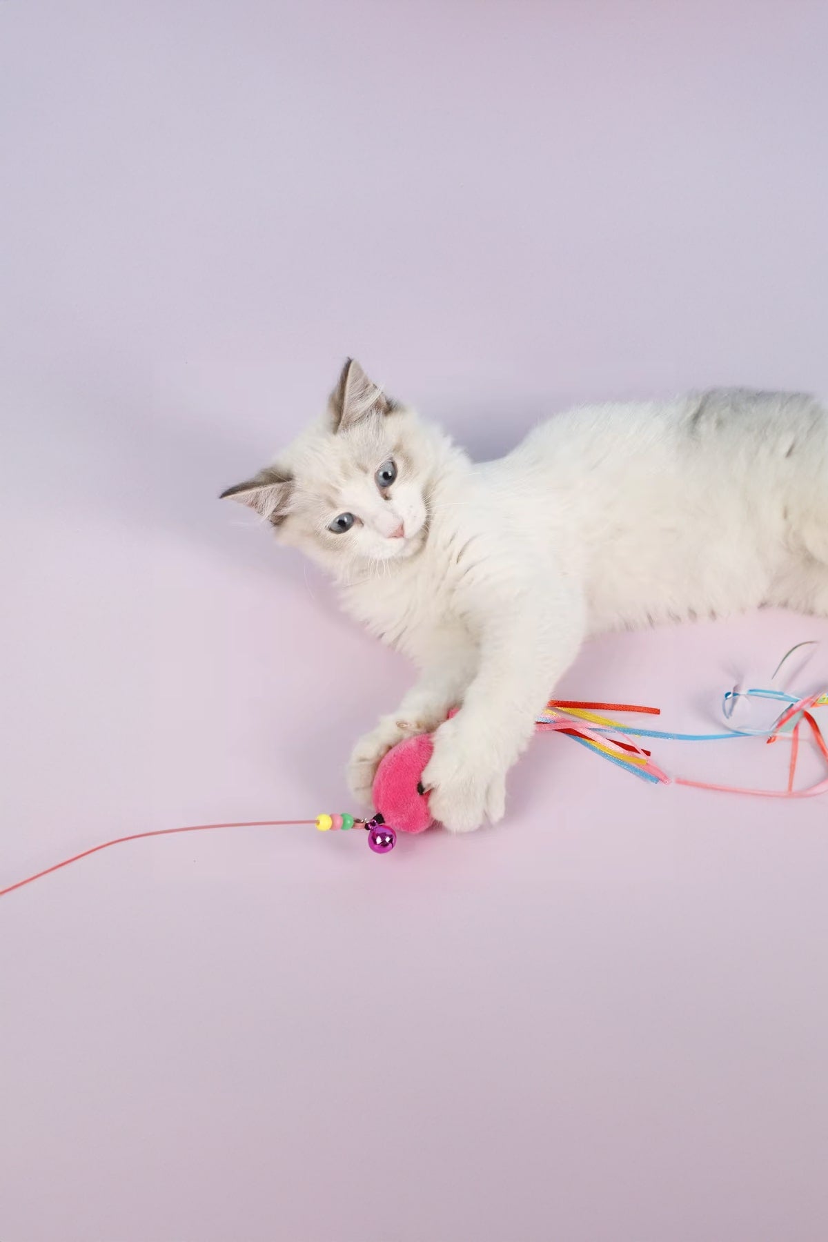 🐟90 CM BALIKLI KEDİ OYUN OLTASI - dibidip 