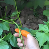 🥬SİLİKON PARMAK AYIKLAMA SETİ - dibidip 