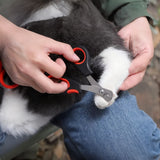 ✂️KEDİ KÖPEK TIRNAK MAKASI - dibidip 