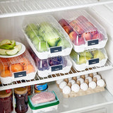 ŞEFFAF PLASTİK KAPAKLI BUZDOLABI ORGANİZERİ