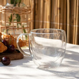 ÇİFT CİDARLI ISIYA DAYANIKLI KULPLU BOROSİLİKAT CAM BARDAK