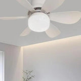 5 Fan Kanat ve Işıklı Uzaktan Kumandalı Tavan Tipi Vantilatör