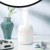 DAMLA MODEL HAVA NEMLENDİRİCİ - dibidip 