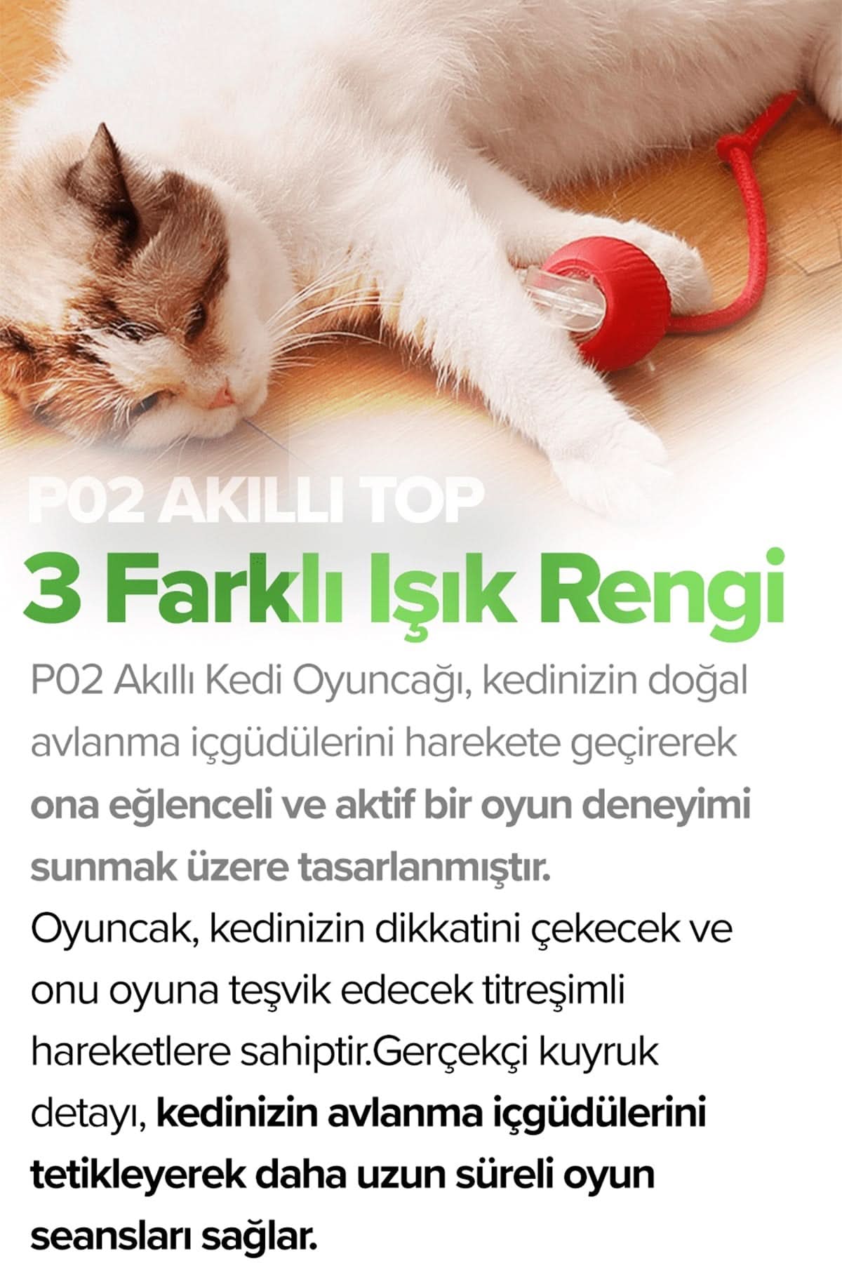 🐾AKILLI KEDİ TOPU - dibidip 