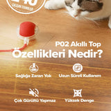 🐾AKILLI KEDİ TOPU - dibidip 