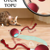 🐾AKILLI KEDİ TOPU - dibidip 