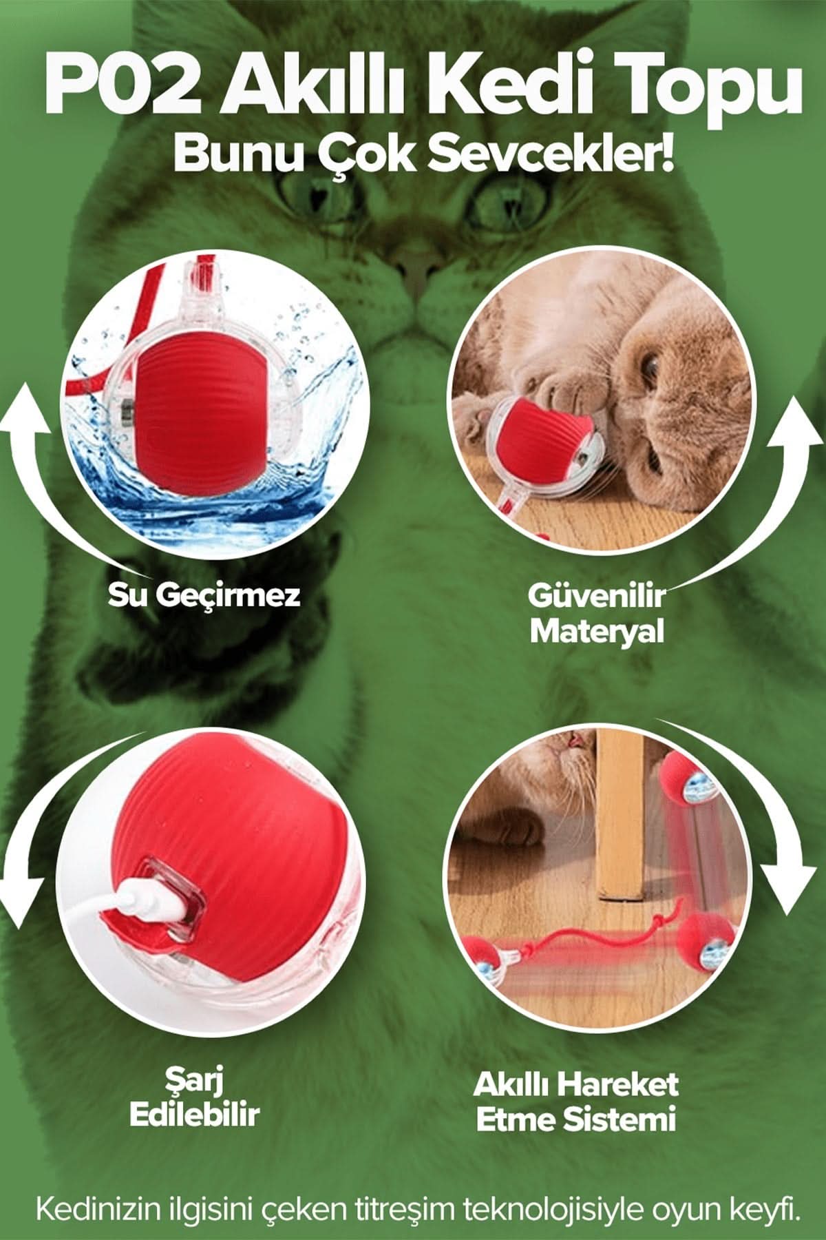 🐾AKILLI KEDİ TOPU - dibidip 