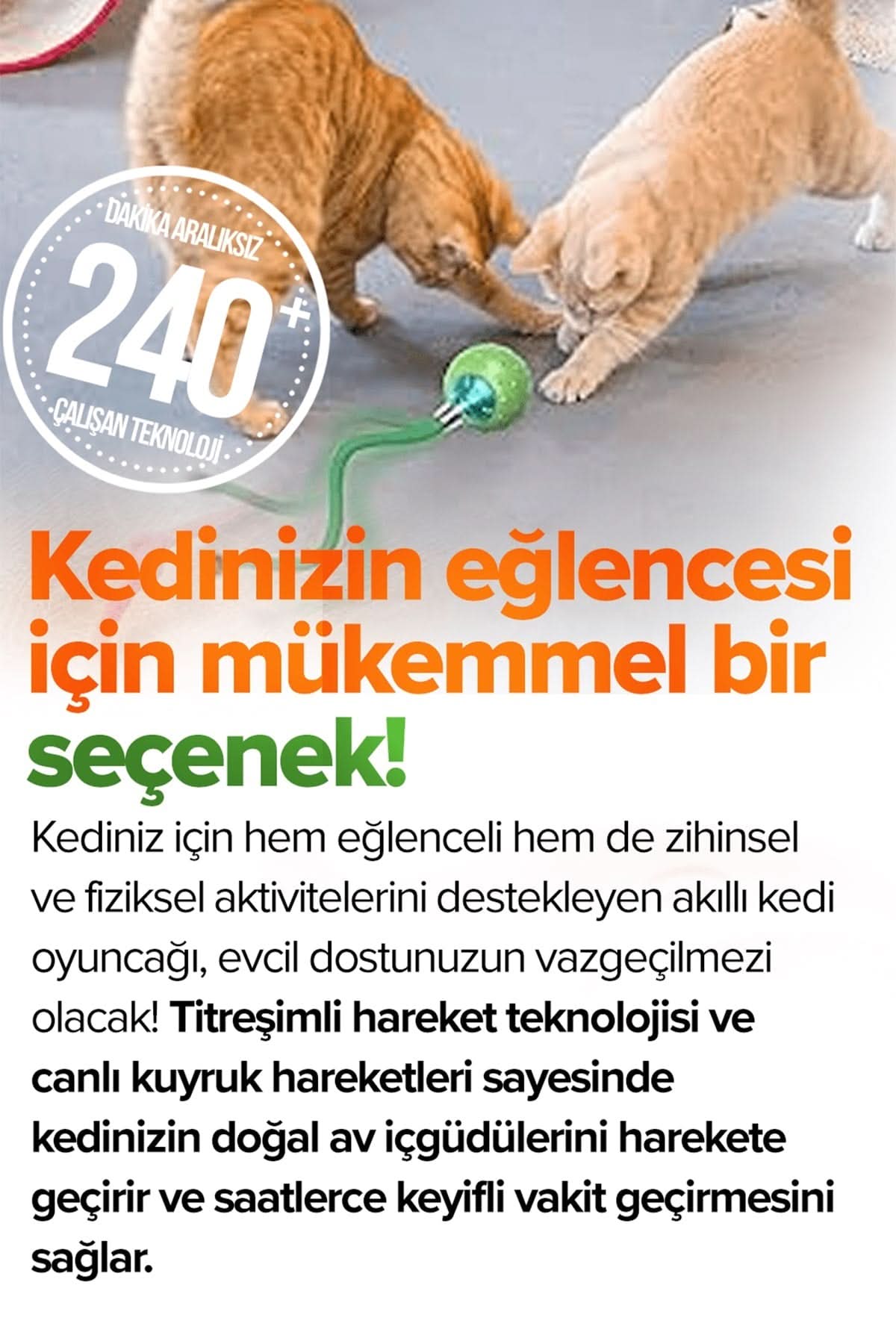 🐾AKILLI KEDİ TOPU - dibidip 