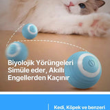 🐱HAREKETLİ KEDİ OYUN TOPU - dibidip 