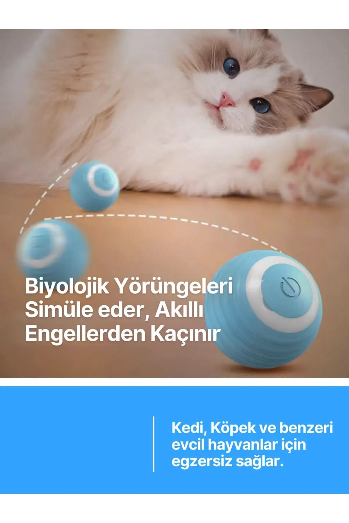 🐱HAREKETLİ KEDİ OYUN TOPU - dibidip 