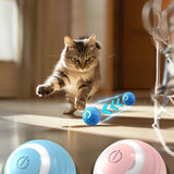 🐱HAREKETLİ KEDİ OYUN TOPU - dibidip 