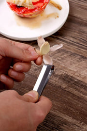🧄SARIMSAK SOYACAK - dibidip