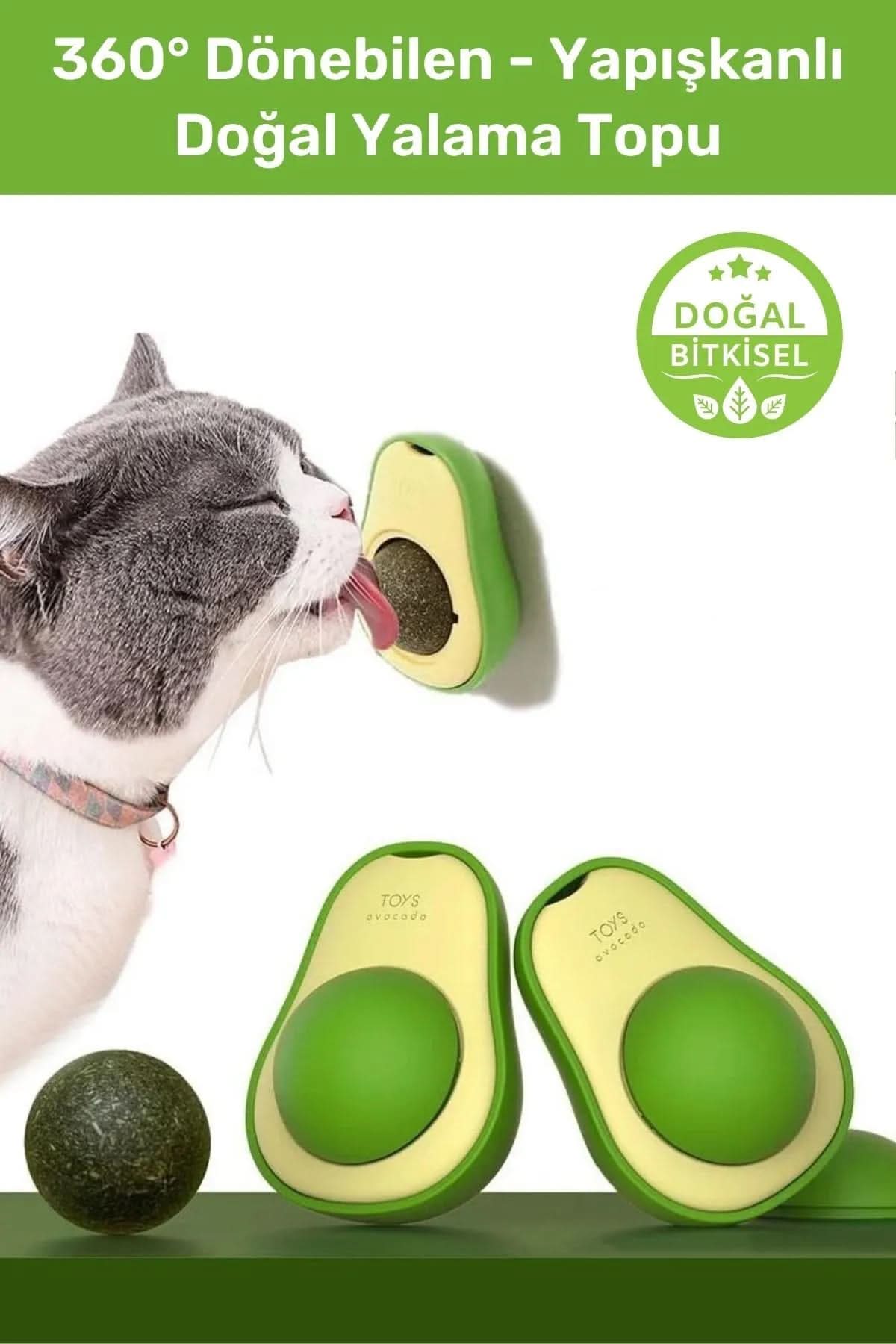 🐱🌿 YENİLEBİLİR AVOKADO KEDİ NANESİ - dibidip 