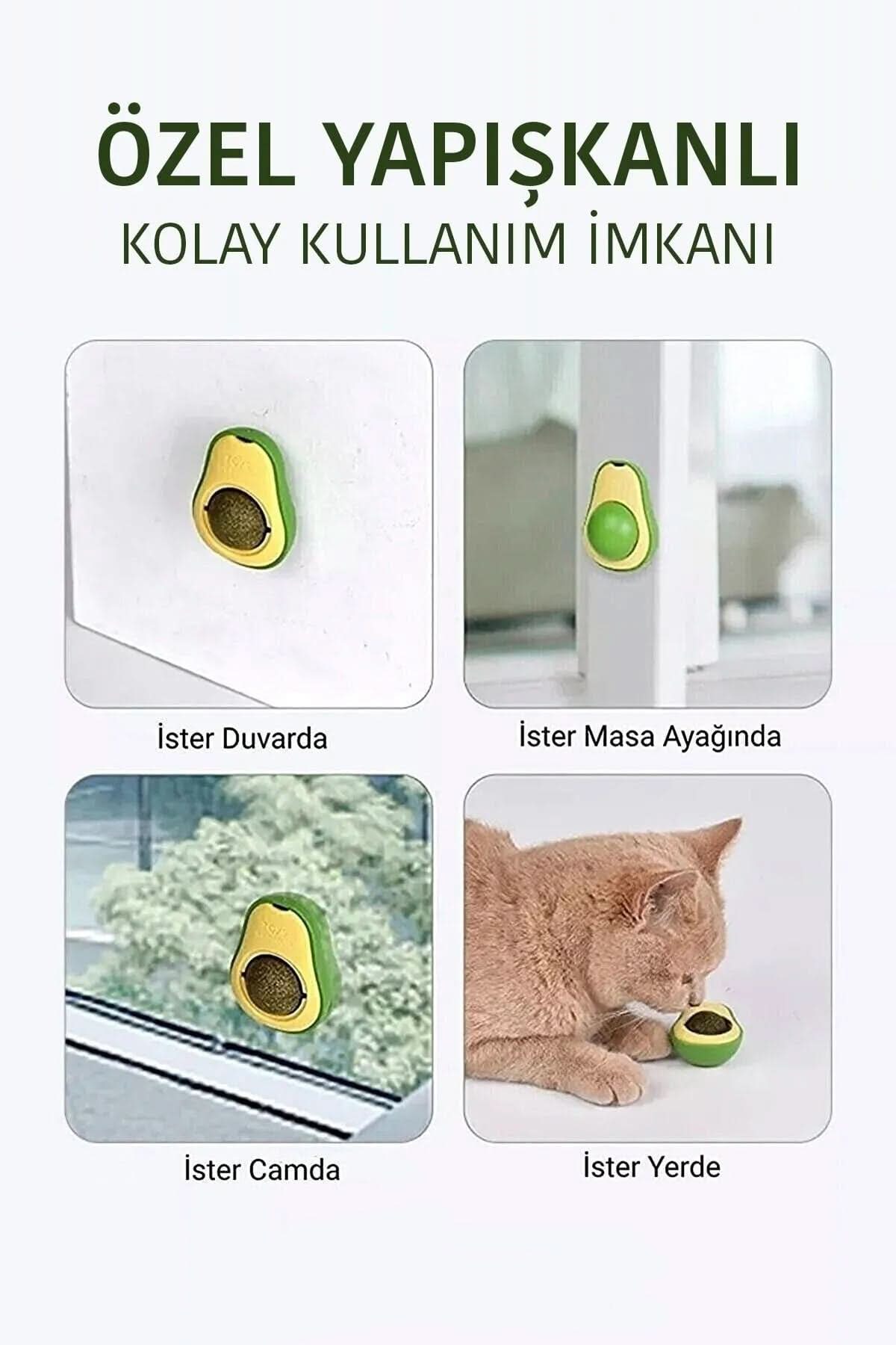 🐱🌿 YENİLEBİLİR AVOKADO KEDİ NANESİ - dibidip 